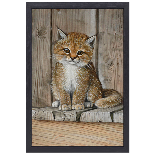 Schattig katje op houten vloer schilderij canvas met baklijst