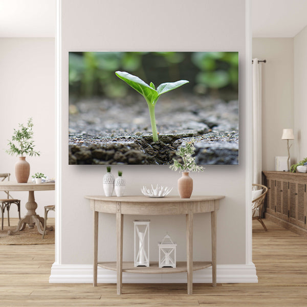 Spruit doorbreekt aarde in minimalistisch beeld canvas