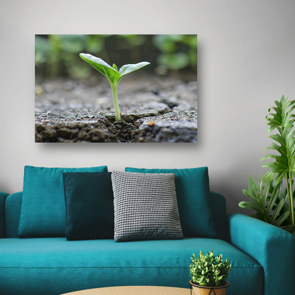Spruit doorbreekt aarde in minimalistisch beeld canvas