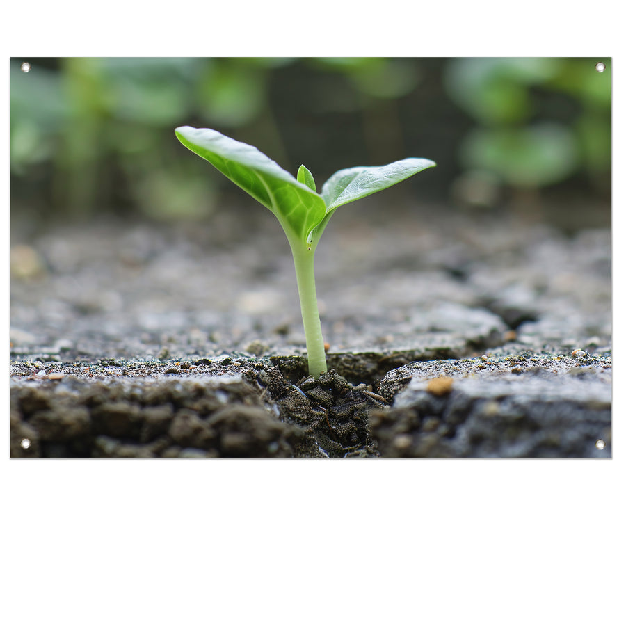 Spruit doorbreekt aarde in minimalistisch beeld tuinposter