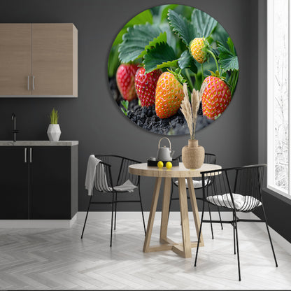 Rijpe Aardbeienplant forex muurcirkel