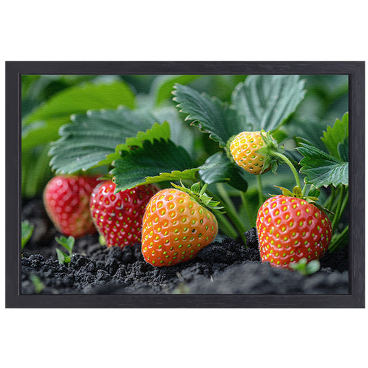 Rijpe Aardbeienplant canvas met baklijst