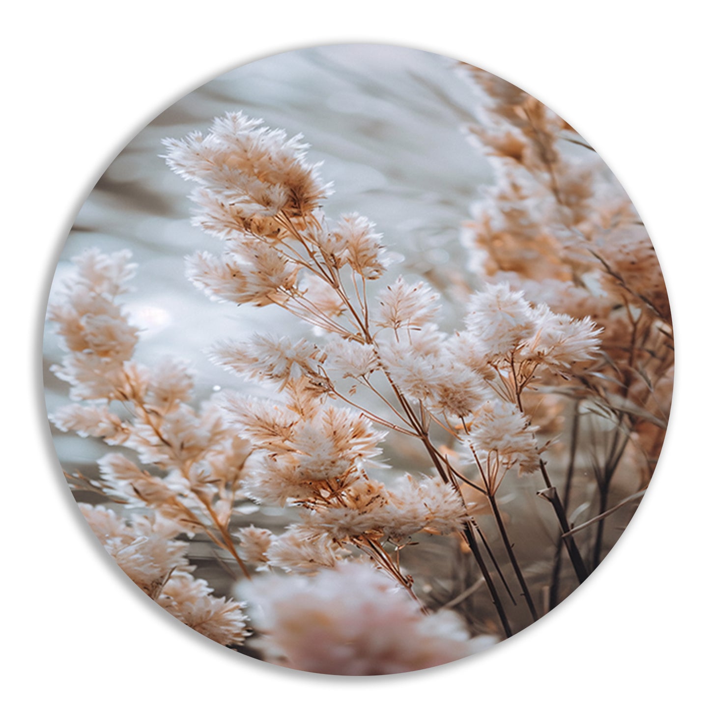 Zachte Beige Bloemen in de Wind forex muurcirkel