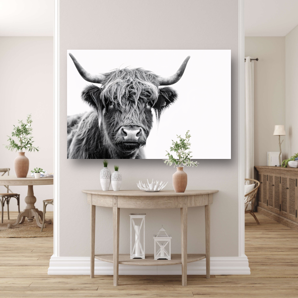 Close-up van een Schotse Hooglander in zwart-wit canvas met baklijst