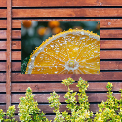 Close-up van een citroen met waterdruppels tuinposter