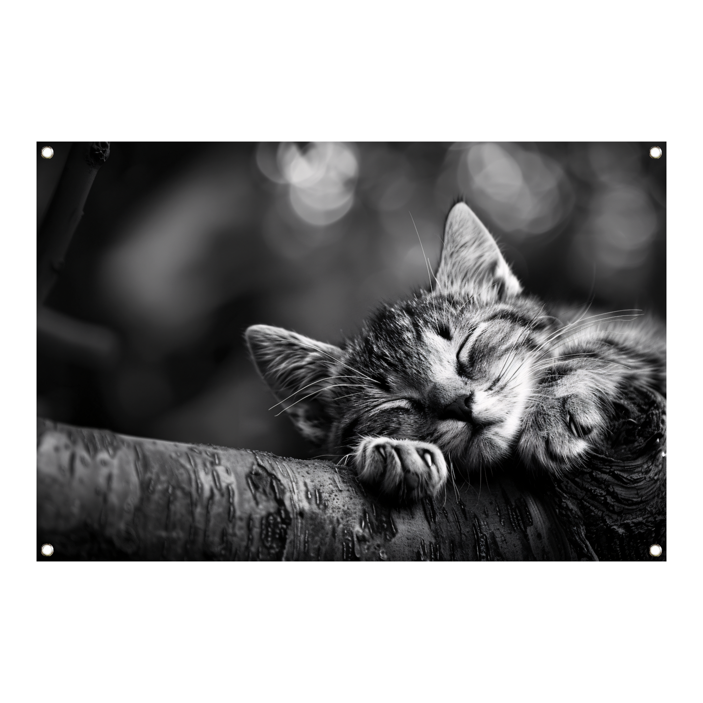 Slapende kitten op boomtak tuinposter