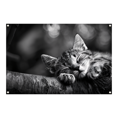Slapende kitten op boomtak tuinposter