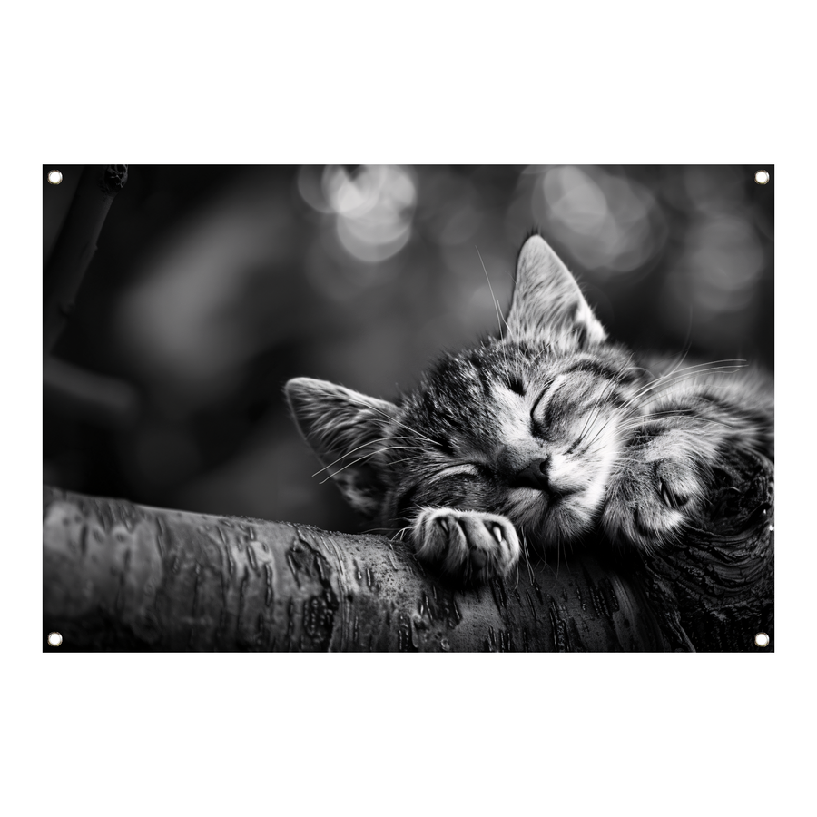 Slapende kitten op boomtak tuinposter