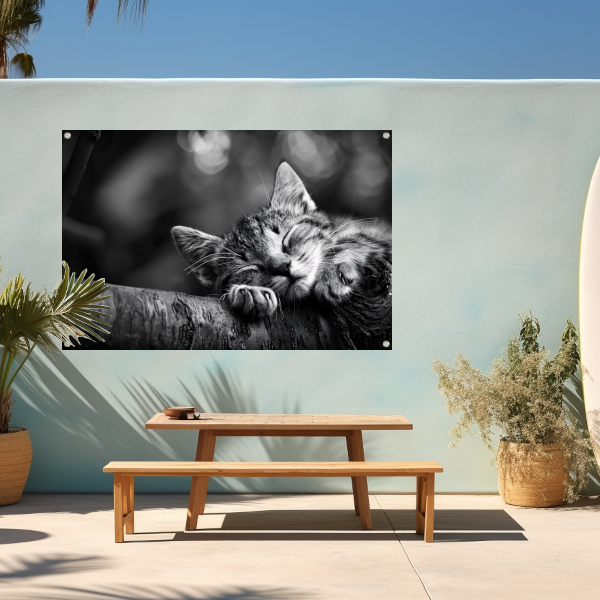 Slapende kitten op boomtak tuinposter