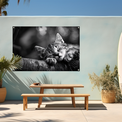Slapende kitten op boomtak tuinposter