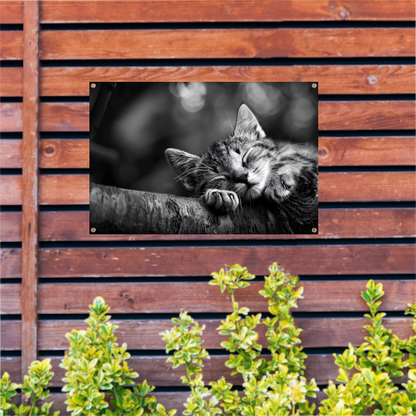 Slapende kitten op boomtak tuinposter