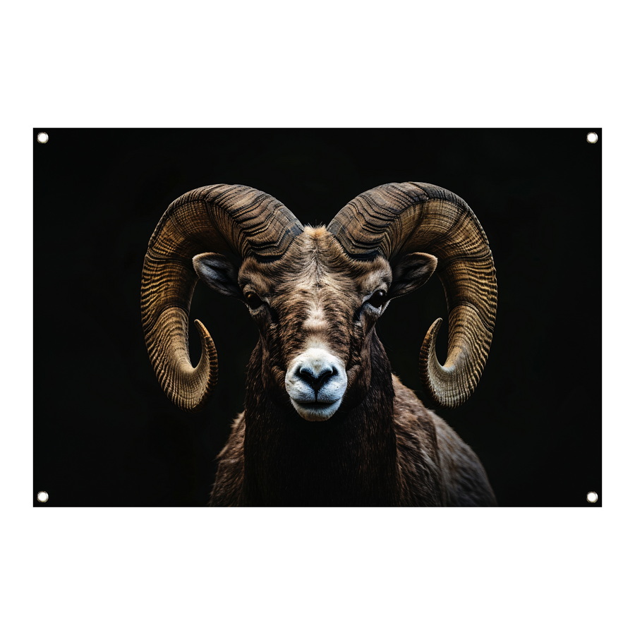 Portret van een Ram tegen een Zwarte Achtergrond tuinposter