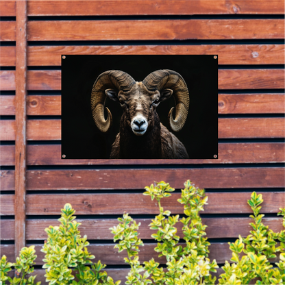 Portret van een Ram tegen een Zwarte Achtergrond tuinposter