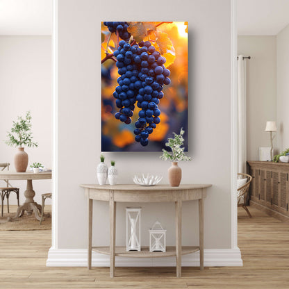 Gouden zonlicht op rijpe blauwe druiven canvas met baklijst
