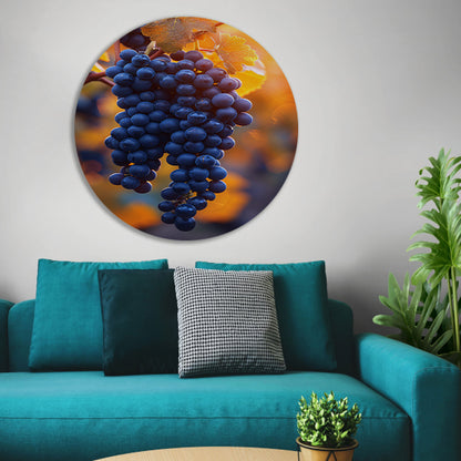 Gouden zonlicht op rijpe blauwe druiven aluminium muurcirkel