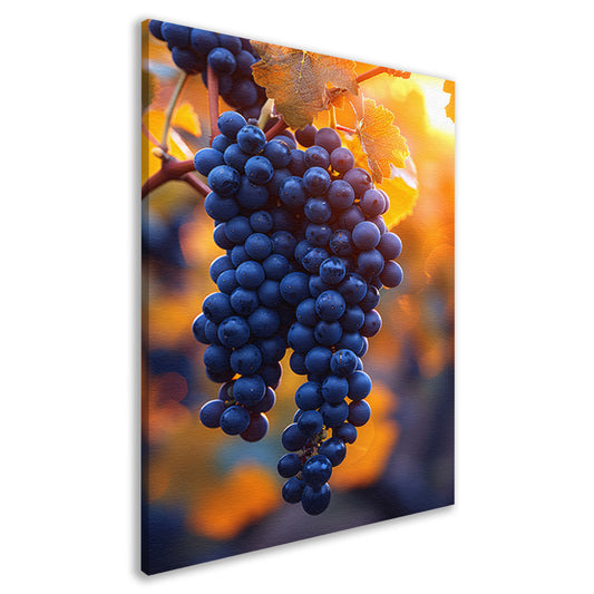 Gouden zonlicht op rijpe blauwe druiven canvas