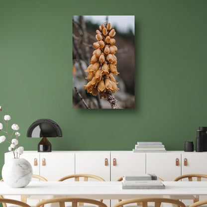Close-up van een Bloeiende Bloem acrylglas