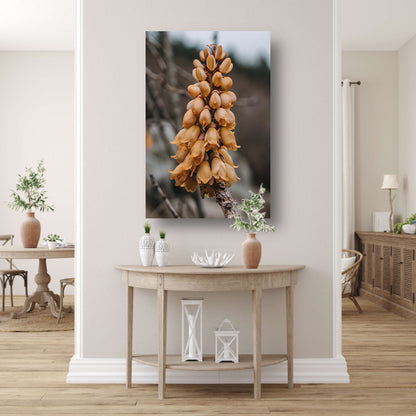 Close-up van een Bloeiende Bloem acrylglas
