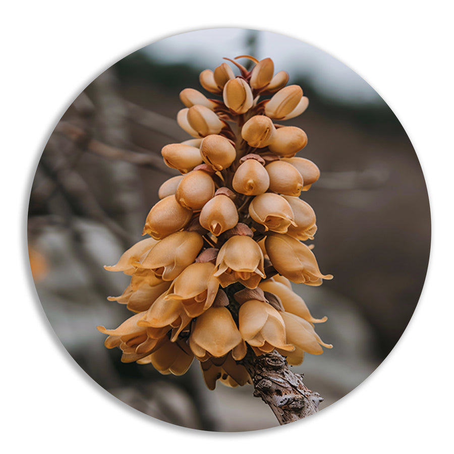 Close-up van een Bloeiende Bloem forex muurcirkel