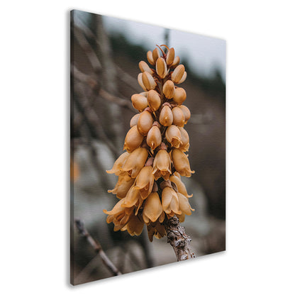 Close-up van een Bloeiende Bloem canvas