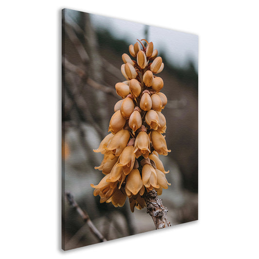 Close-up van een Bloeiende Bloem canvas