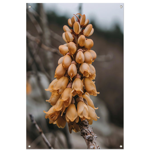 Close-up van een Bloeiende Bloem tuinposter