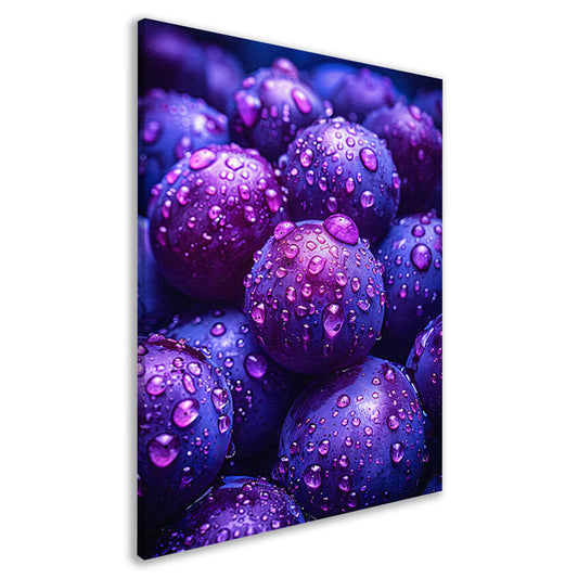 Close-up van paarse druiven met dauwdruppels canvas