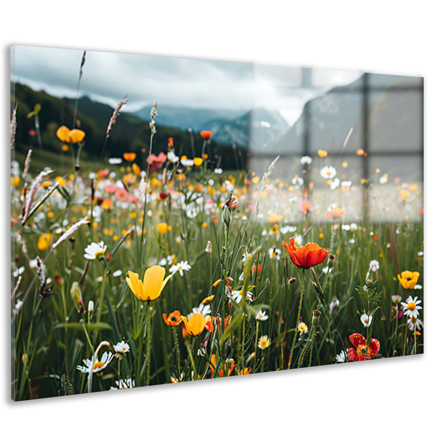 Bloemenveld voor majestueuze bergtoppen acrylglas