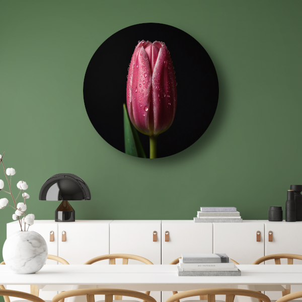 Roze Tulp met Dauw op Zwarte Achtergrond forex muurcirkel