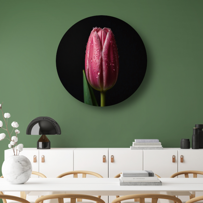 Roze Tulp met Dauw op Zwarte Achtergrond forex muurcirkel