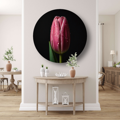 Roze Tulp met Dauw op Zwarte Achtergrond forex muurcirkel