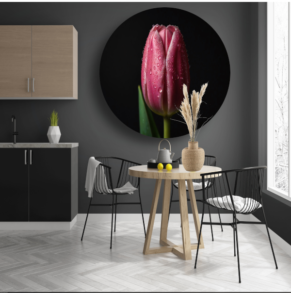 Roze Tulp met Dauw op Zwarte Achtergrond forex muurcirkel
