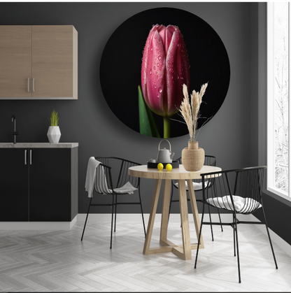 Roze Tulp met Dauw op Zwarte Achtergrond forex muurcirkel