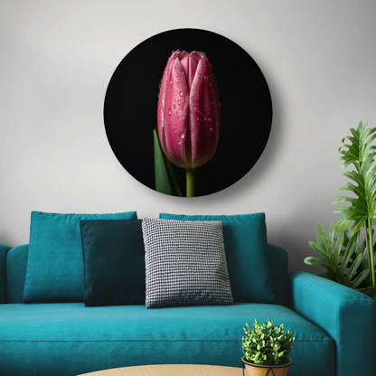 Roze Tulp met Dauw op Zwarte Achtergrond forex muurcirkel