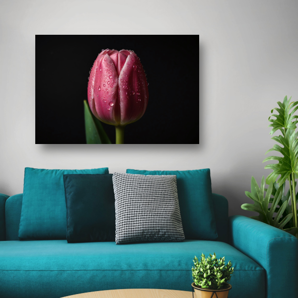 Roze Tulp met Dauw op Zwarte Achtergrond canvas met baklijst