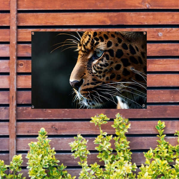 Gedetailleerd portret van een luipaard tuinposter