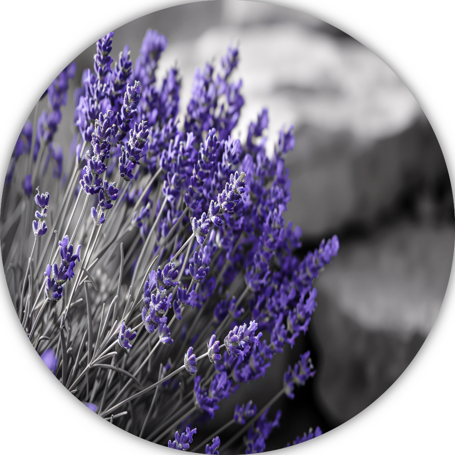 Abstracte paarse bloemen forex muurcirkel