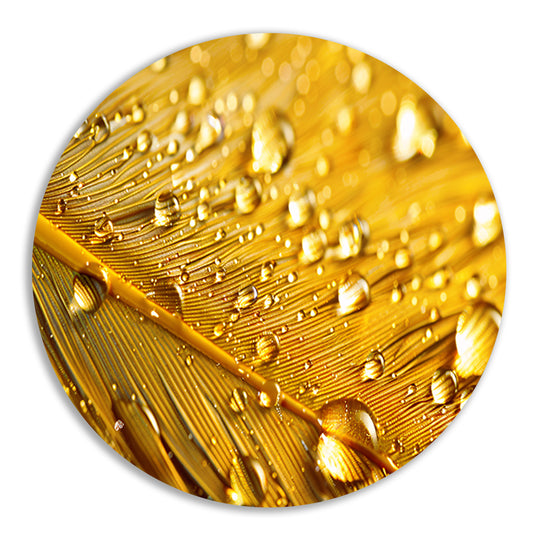 Gouden blad met waterdruppels aluminium muurcirkel