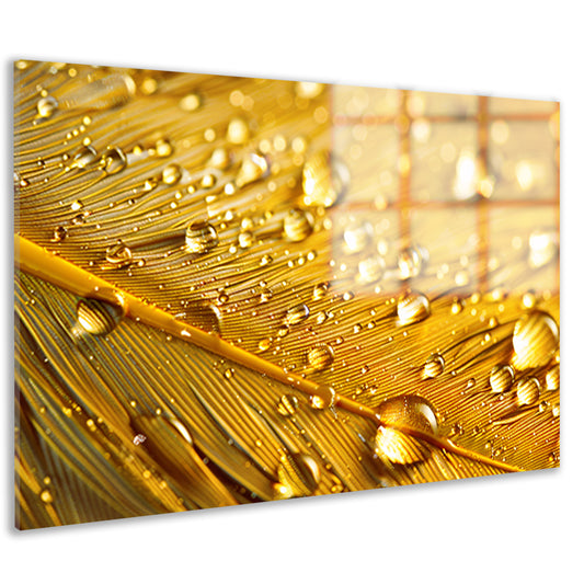 Gouden blad met waterdruppels acrylglas