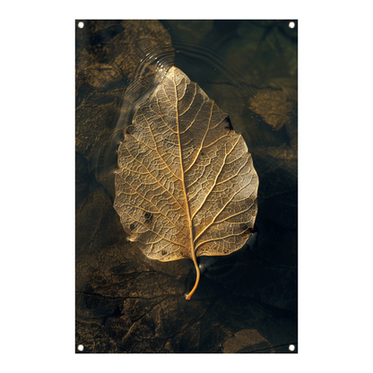 Blad met gouden nerven drijft op donker water tuinposter