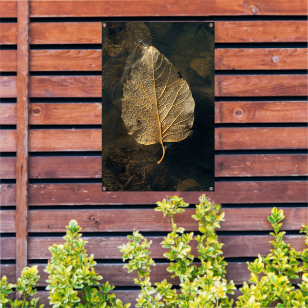 Blad met gouden nerven drijft op donker water tuinposter