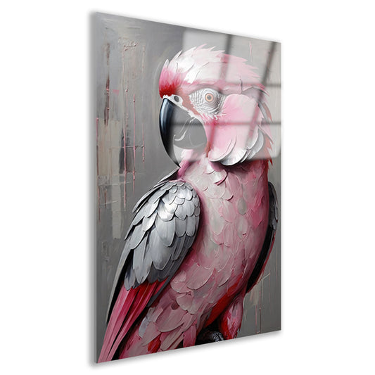 Portret van een Roze en Grijze Papegaai Acrylglas