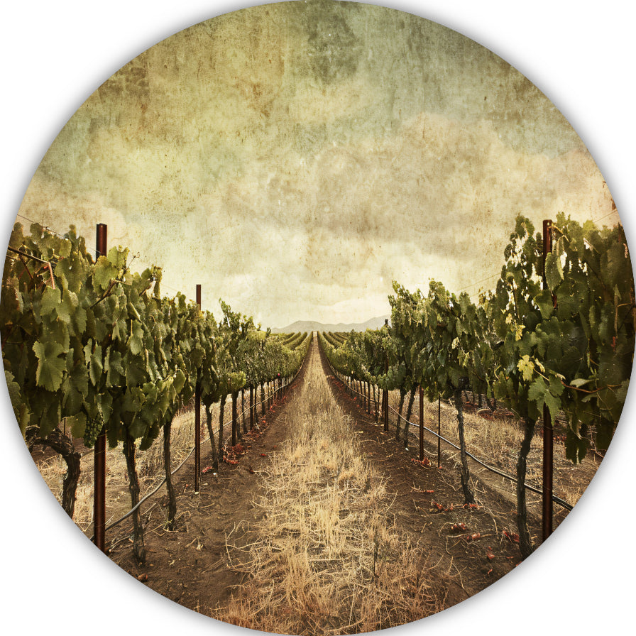 Sepia Wijngaard Landschap met Rijpe Druiven forex muurcirkel