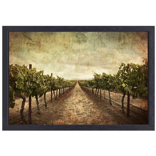 Sepia Wijngaard Landschap met Rijpe Druiven canvas met baklijst