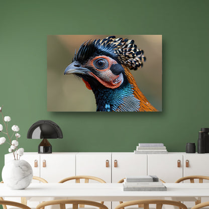 Zwart-witte vogel met sierveren canvas