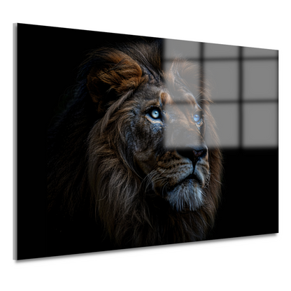 Indrukwekkend portret van majestueuze leeuw met blauwe ogen acrylglas