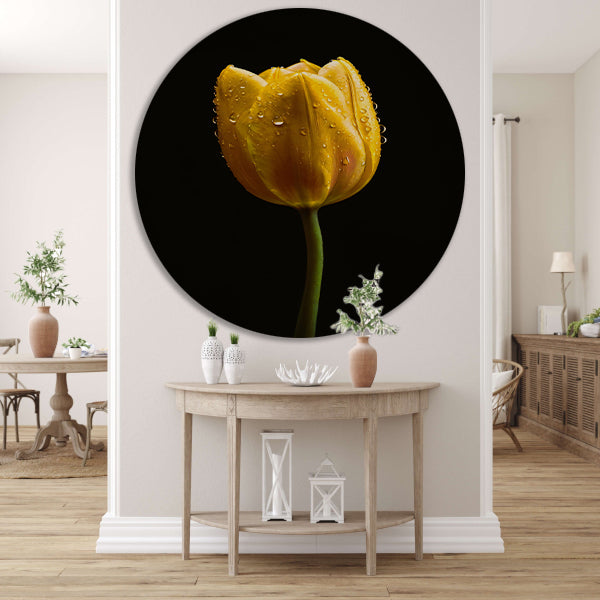 Gele tulp tegen zwarte achtergrond met dauw aluminium muurcirkel