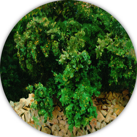 Ilex Bomen. Mallorca - John Singer Sargent aluminium muurcirkel