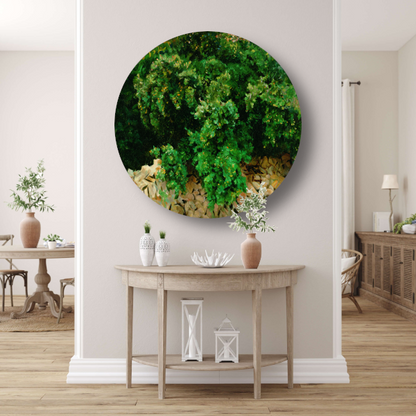 Ilex Bomen. Mallorca - John Singer Sargent aluminium muurcirkel