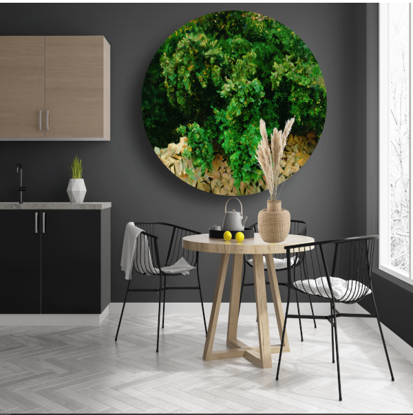 Ilex Bomen. Mallorca - John Singer Sargent aluminium muurcirkel